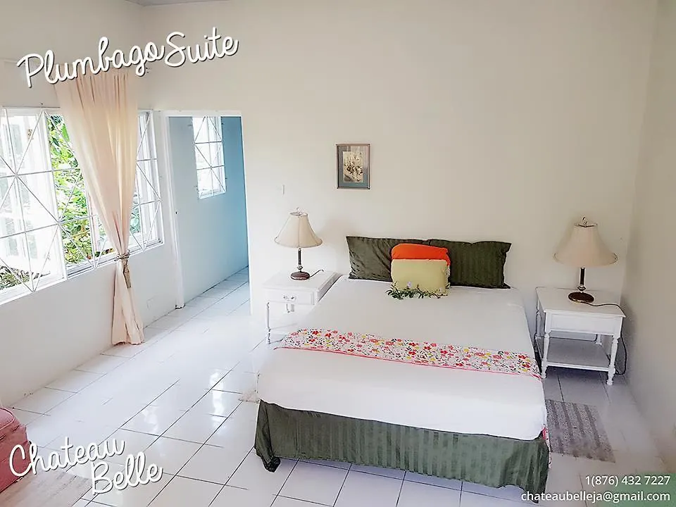 Smokey Vale Kingston City View Home Pensjonat